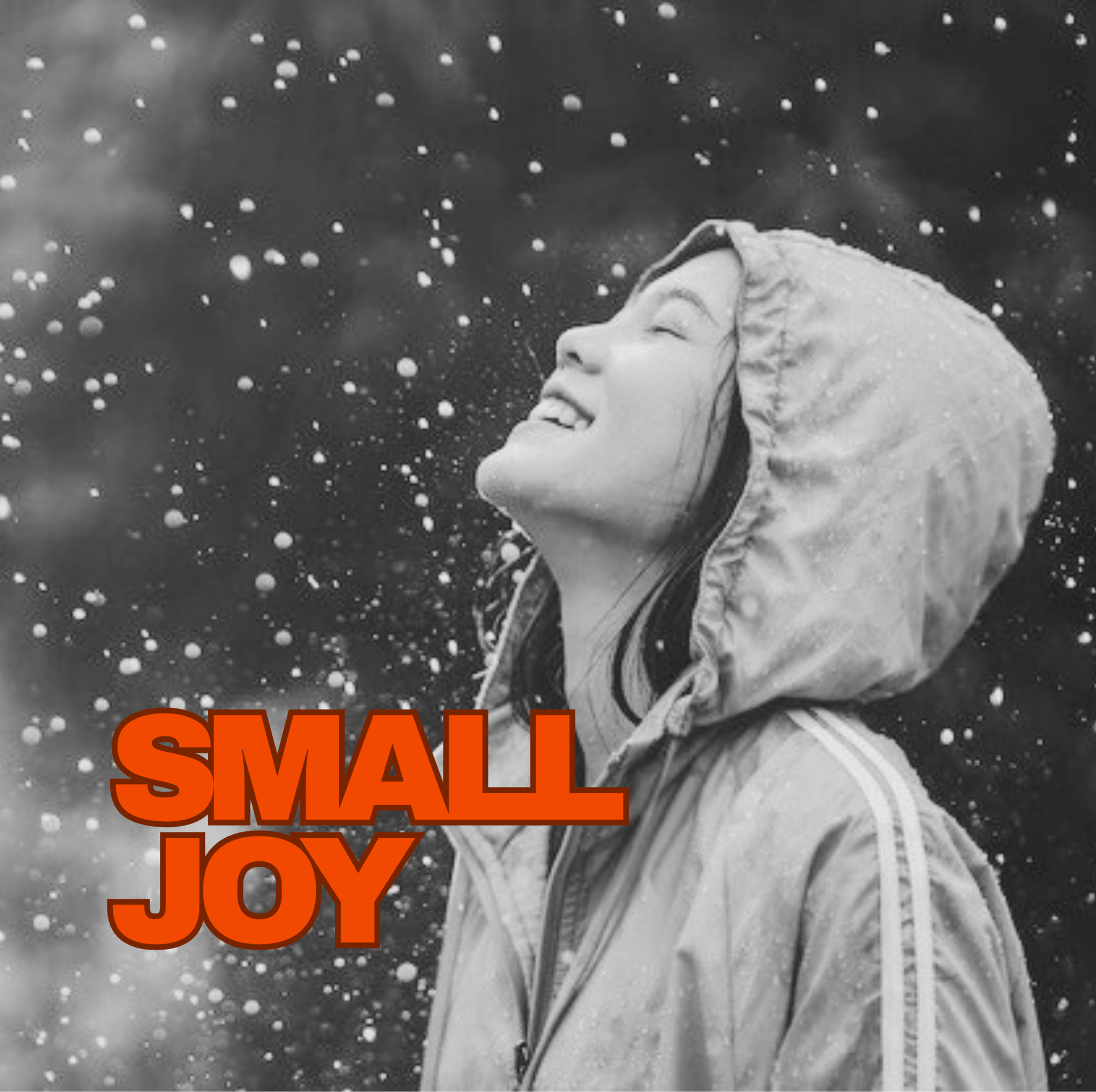 Small Joys - Gifted
